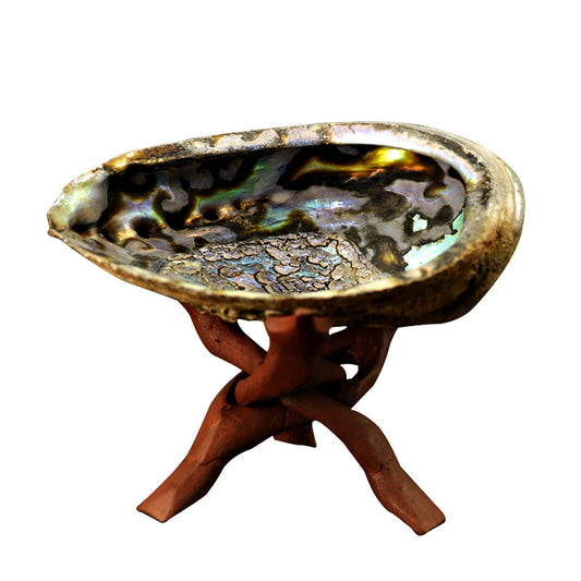 Abalone Shell and Bracket